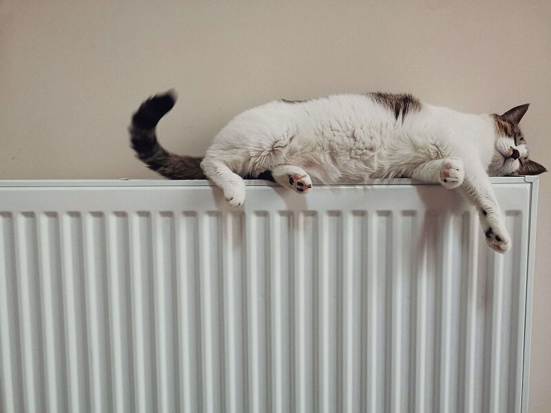 cat lying on a furnace system