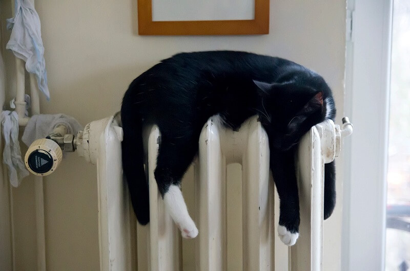 A black cat sleeping on top of a radiator