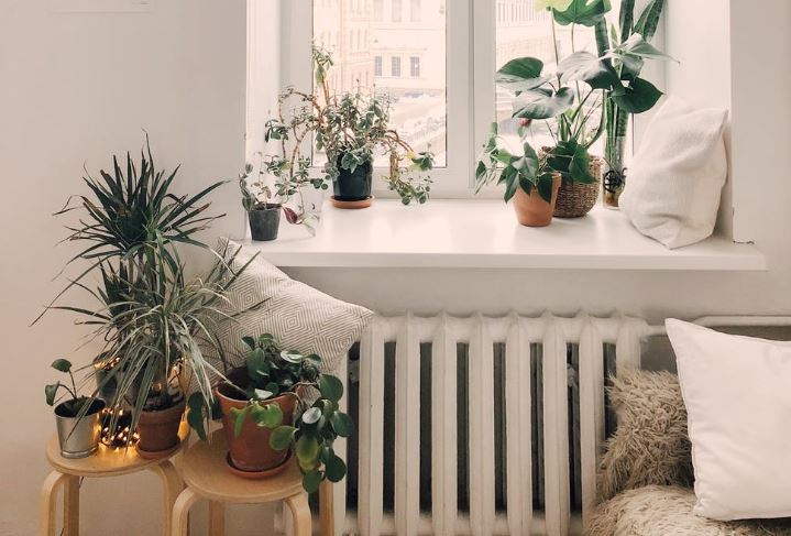 A collection of plans near a window with white walls