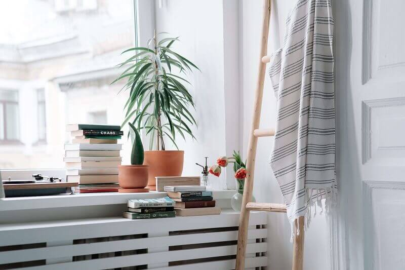 Window and books